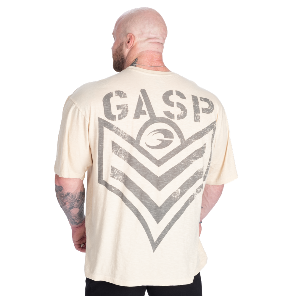 GASP 221037 スラブアイアンT