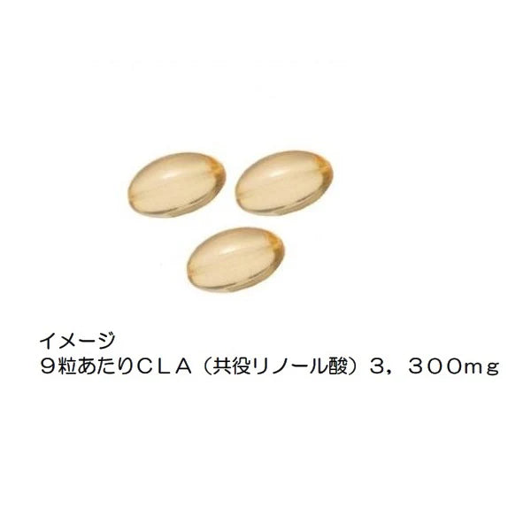 ゴールドジム F6250 CLA(共役リノール酸)360粒