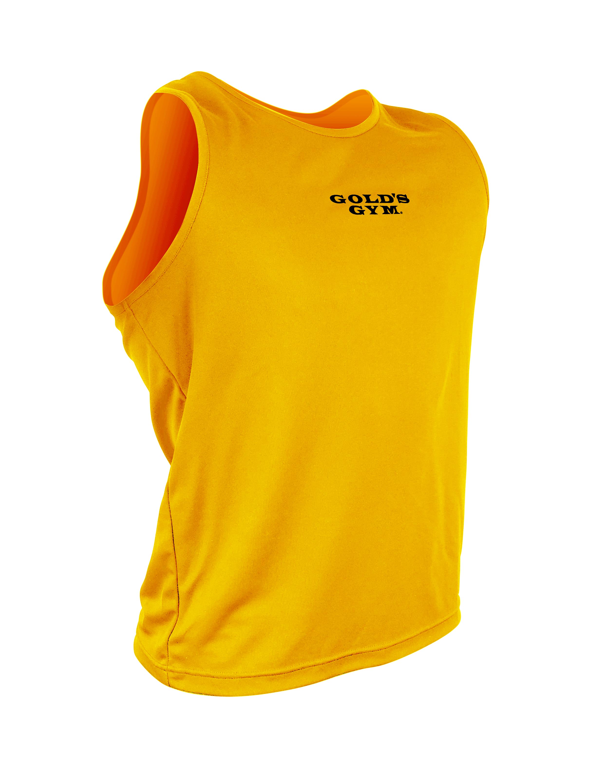 レアなゴールドジムのサイクリングシャツ gold's gymTシャツ