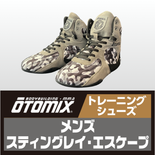 オートミックス　スティングレイ