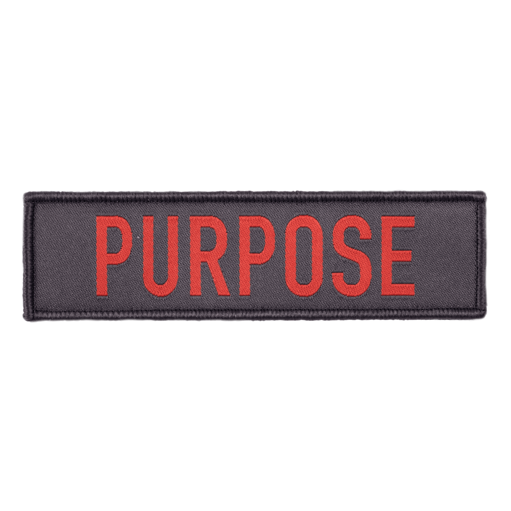 ＧＡＳＰ　232817　ウーブンパッチ 11x3