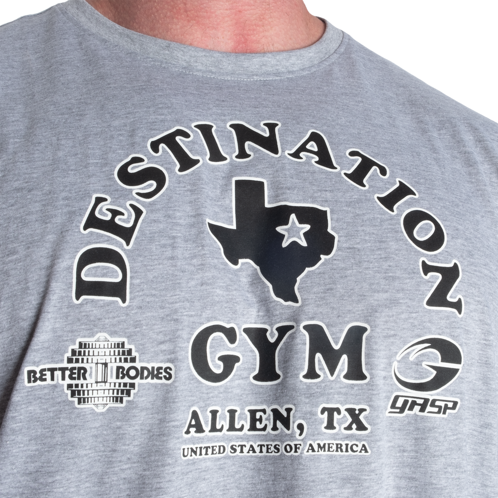 ＧＡＳＰ　221078　デスティネイション・アイアンＴ