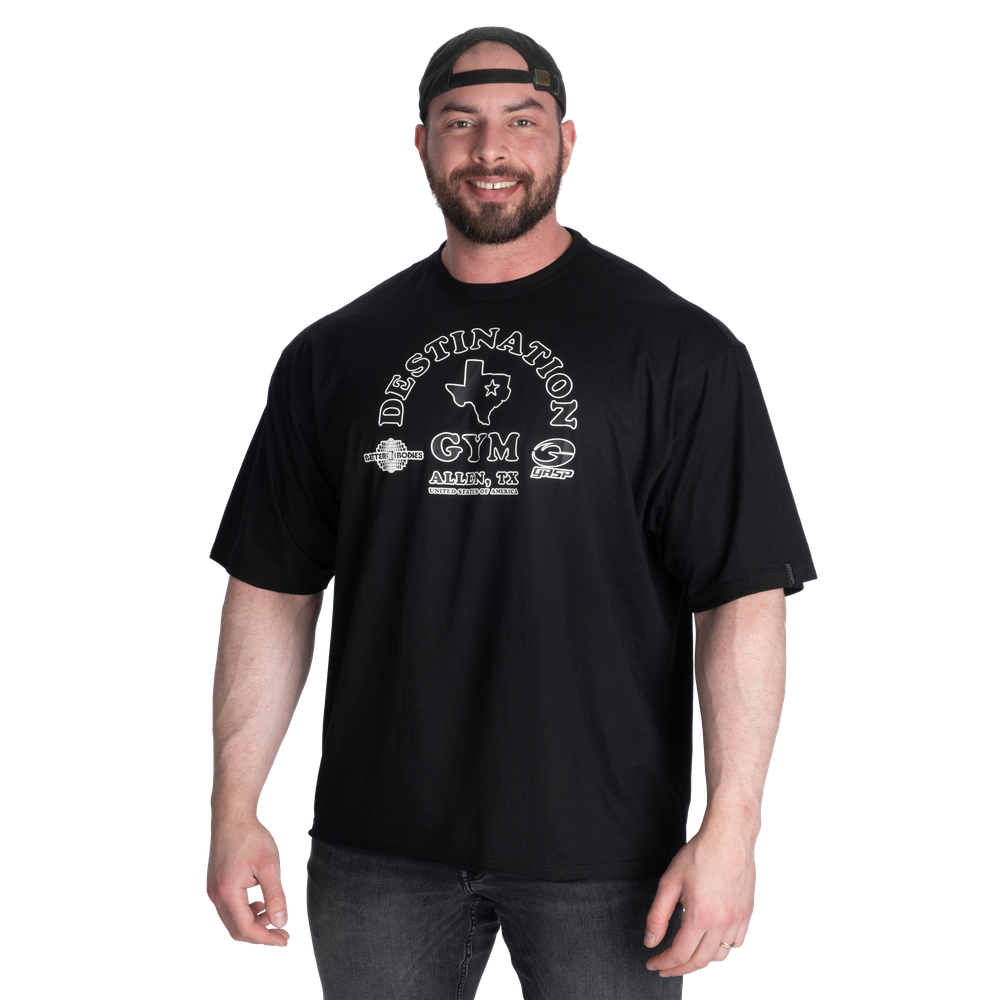 ＧＡＳＰ　221078　デスティネイション・アイアンＴ