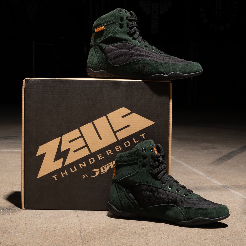 ＧＡＳＰ　232791　ゼウス・サンダーボルトＶ２