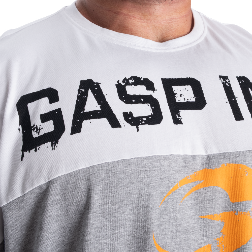 ＧＡＳＰ　221152　２カラーアイアンＴ