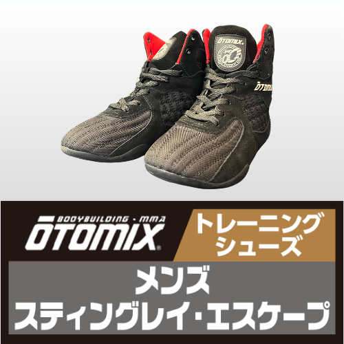 オートミックス　スティングレイ