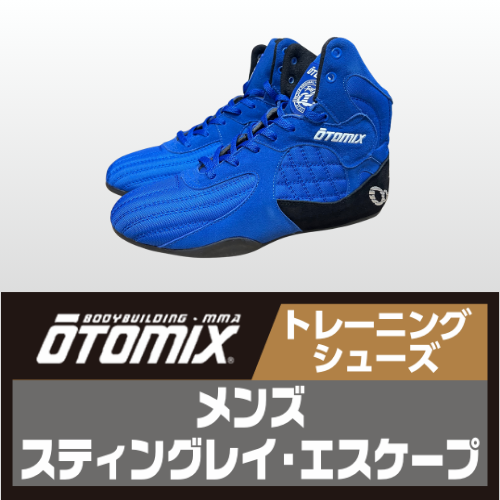 オートミックス　スティングレイ