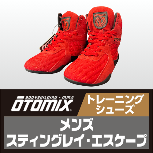 オートミックス　スティングレイ